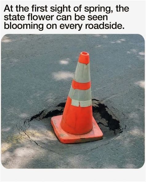 Spring Java Meme 的图像结果