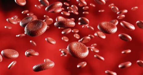 An In-Depth Case Study on Haematology Cell Counters — Teletype