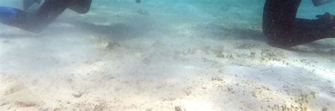 Become a Certified Open Water Diver in Palawan with Our PADI 5 Star ...