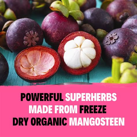 Mangosteen Health Benefits INDONESIAN CONSULATE GENERAL SYDNEY On X: