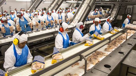 Emydex Poultry Industry Secondary Processing | Emydex