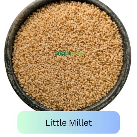 Easy and Tasty Little Millet Recipes – Brightcrop Agro