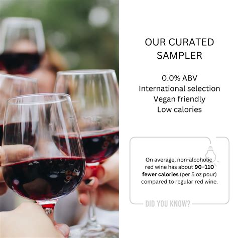 Best Seller Non Alcoholic Red Wine Assortment | 0.0% ABV, 3 Bottles