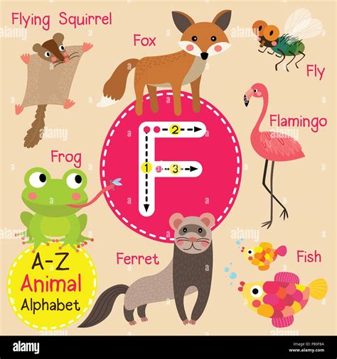 F Animal Alphabet Letters