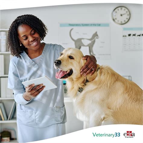 Dog Degenerative Disc Disease Treatment at Edith Vreeland blog