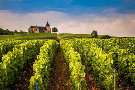 French Wine Regions: Where to Sip, Tour, and Taste Like a Local | WeRoad