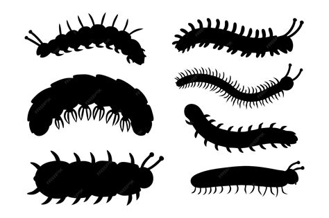 Caterpillars centipede set spring summer colorful different element set ...