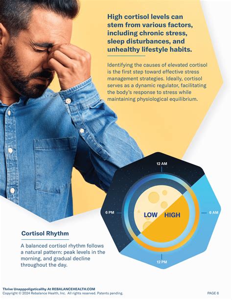 Cortisol Guide