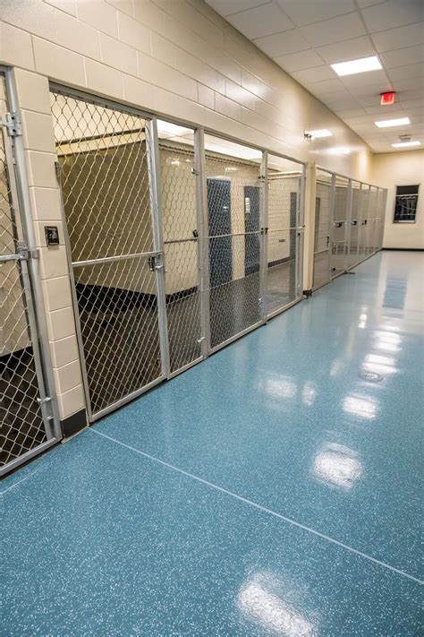 14+ Creative Dog Kennel Flooring Ideas