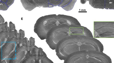 Image result for Alien Science Diagram