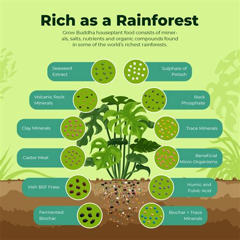 Houseplant Potting Soil - 2 Litres – Grow Buddha