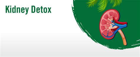 Hiral Health's Livney Pure: Liver & Kidney Supplement – Milk Thistle ...