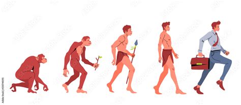 Evolution of Man Vector 的图像结果