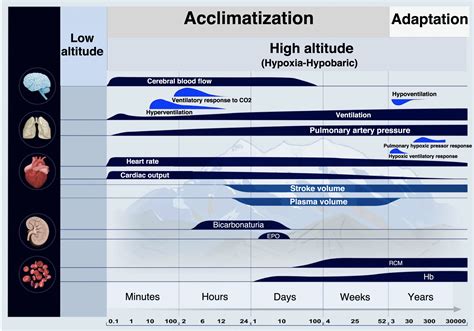 Critical pregnancy at altitude: A look at Latin America | Medicina Intensiva