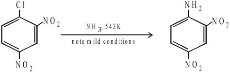 Haloalkanes And Haloarenes - Free NEET Chemistry Notes