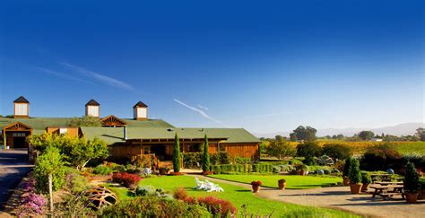 Napa Valley Wines | Wine Tastings, Tours & More - Bouchaine Vineyards