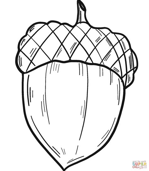 Free Printable Acorn Coloring Pages - Printable Word Searches