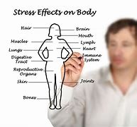 Image result for Stress Effects