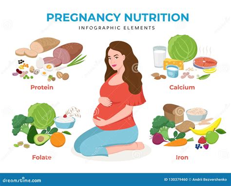 Pregnancy Nutrition Infographic Elements in Flat Design Vector Illustration. Pregnant Woman ...