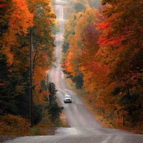 Learn Python YouTube 的图像结果