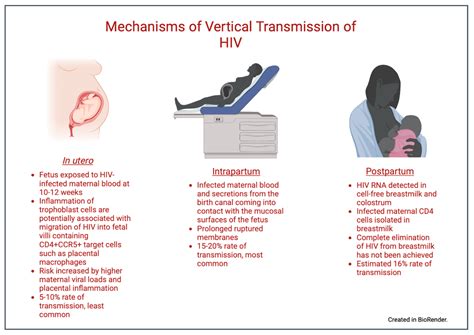 Prevention of the Vertical Transmission of HIV; A Recap of the Journey so Far