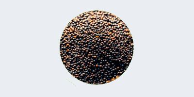 Fowlerwestrup - Color Sorter