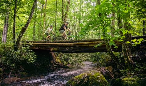 Discovery Visits - Balsam Mountain Preserve