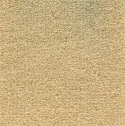 Monte Carlo - Radici USA