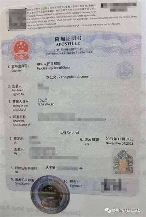 护照旅行证傻傻分不清？大使馆发文来教你 - 新加坡新闻头条