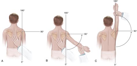 The Orthopaedic Examination: A Comprehensive Overview - Clinical Tree