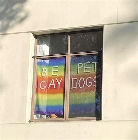 BE PET GAY DOGS : r/dontdeadopeninside