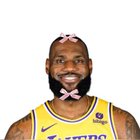 12 LeBron pookie ideas in 2025 | lebron james funny, nba funny, king lebron