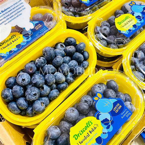 Driscoll's Sweetest Batch Blueberry (200g punnet) — MomoBud