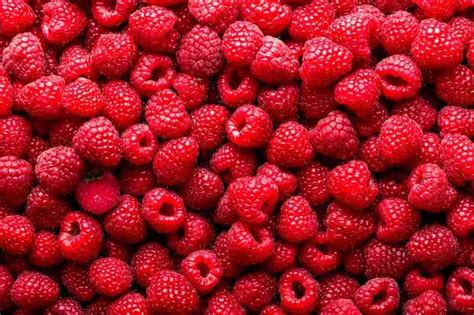Test your Vision Sharpness by Finding the Strawberry among Raspberries ...