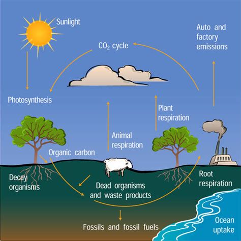 Biogas in Powering Agriculture - energypedia