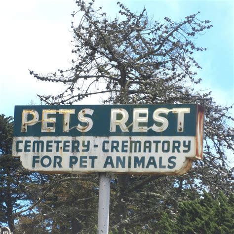 Pet's Rest Cemetery, Colma - Tripadvisor
