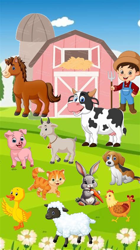 Farm Animal Pictures for Kids