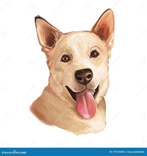 Are Carolina Dogs Domesticated