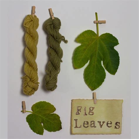 Fig Leaves