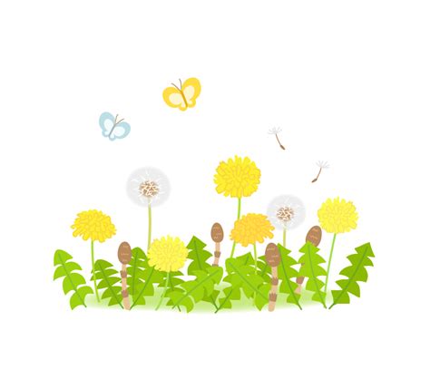Image result for Java Turtle Graphics