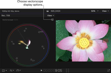 Vectorscope display options in Final Cut Pro for Mac - Apple Support (IN)