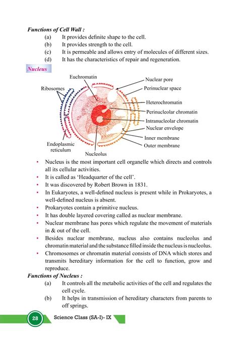 Image result for Class 9th Science Chapter 5 Cell Explanation
