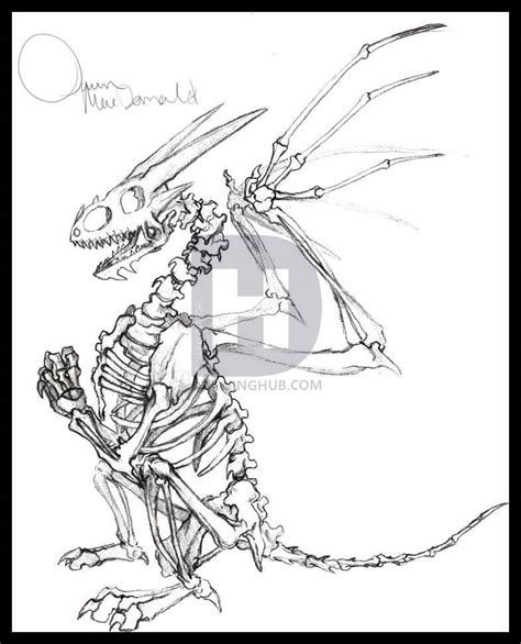 Dragon Skeleton Drawing 的图像结果