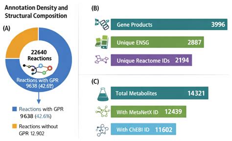 EHMN 2026: A Thermodynamically Refined, SBML-Standardised Human ...