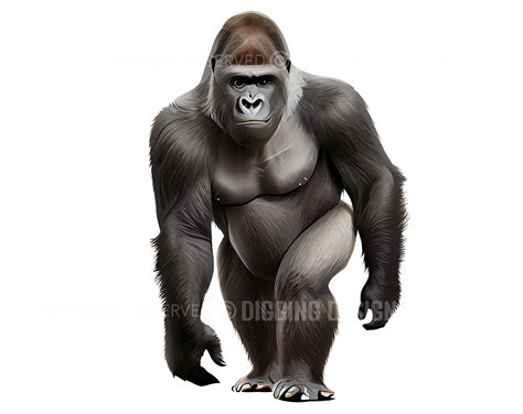 Gorilla Clip Art