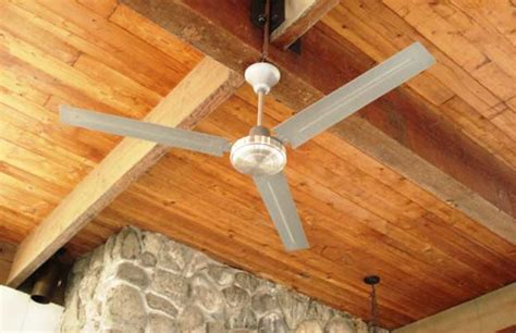 World Health Day 2014 Special: 10 Natural Ways To Prevent Mosquito Bites