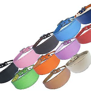 Whippet Collars Online | eBay Stores