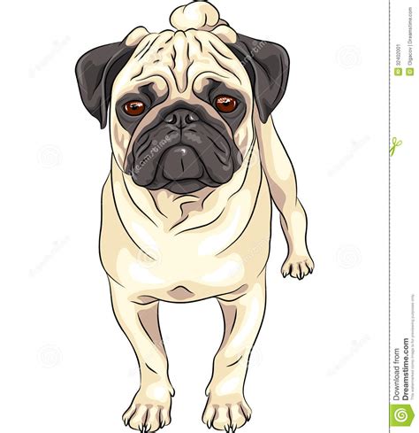 Pugs clipart - Clipground