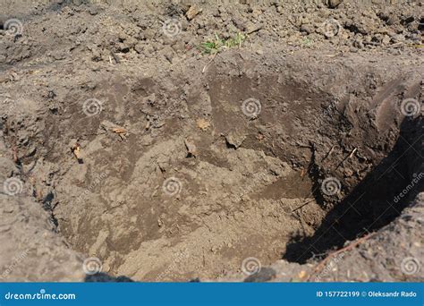 Dig Hole 的图像结果