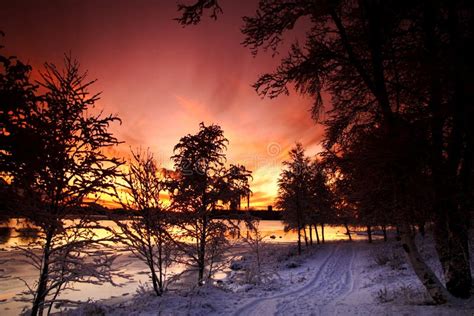 冬天的日落高清图片下载-正版图片300652571-摄图网